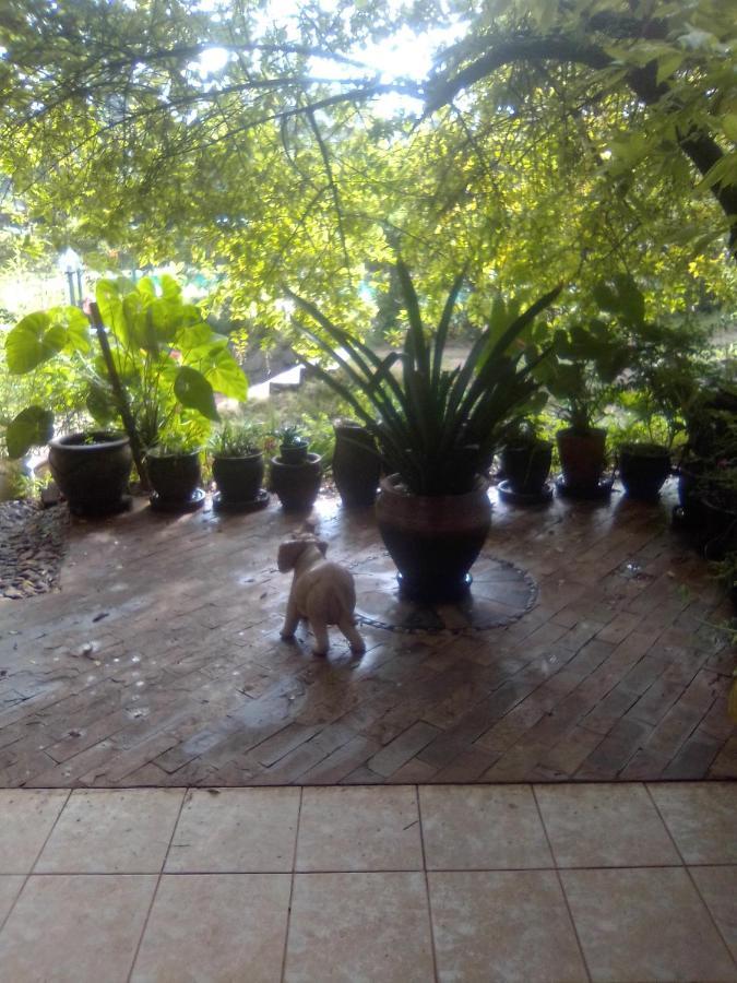 Casablanca Villas Nairobi Zewnętrze zdjęcie